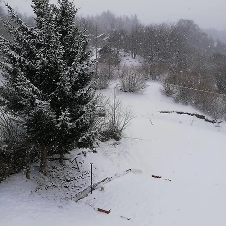 Casa vacanze Affitto Del Con Cucina A Uso Esclusivo ! *